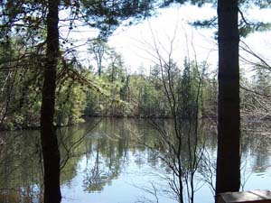 Cedar Run Lake
