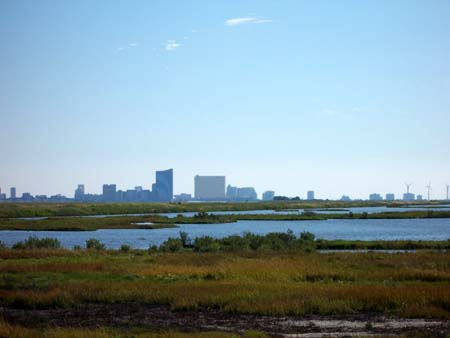 Atlantic City skyline as seen from Forsythe National Wildlife Refuge in Brigantine