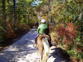 Trail riding is wonderful in Autumn when fall color is at its peak in the Pine Barrens!