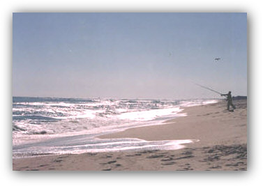 Surf fishing in the Atlantic Ocean from the sugar-sand beaches of Long Beach Island